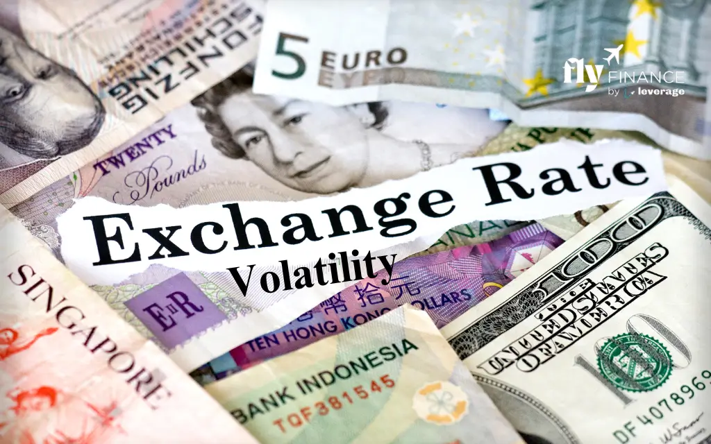 Exchange Rate Volatility