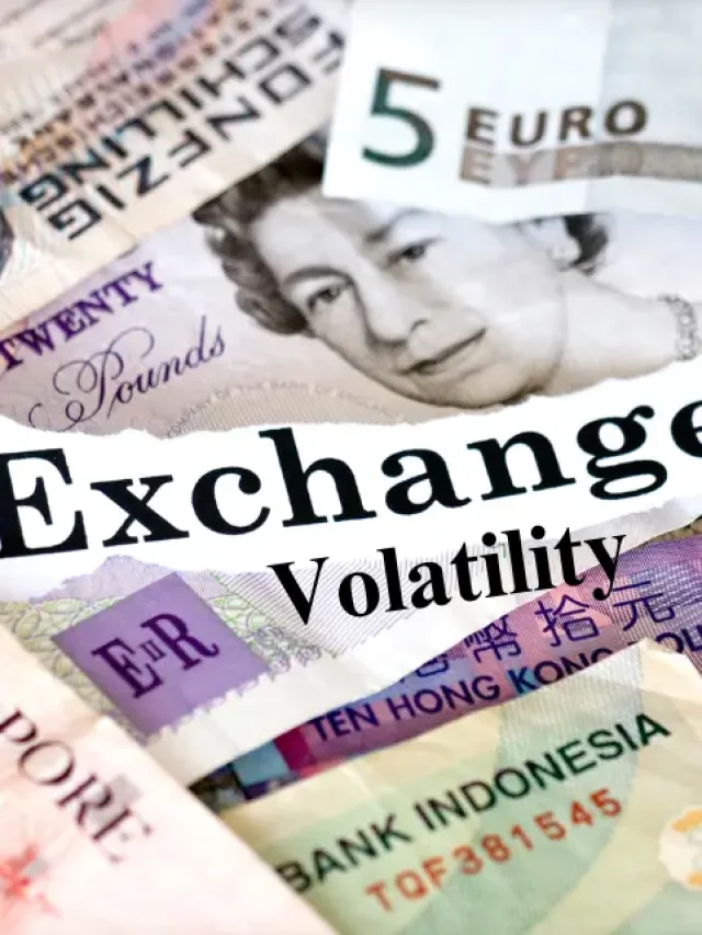 How Does Exchange Rate Volatility Affect Student Loans